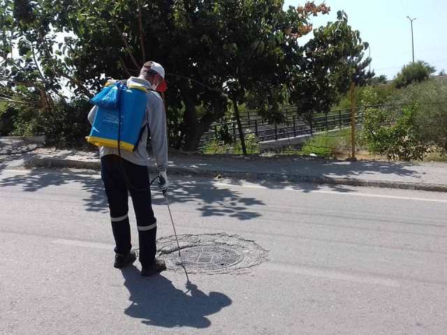 İskenderun haşereye savaş açtı