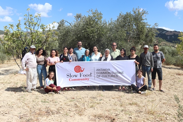 Halhalı zeytin dünyada sadece Hatay da yetişiyor 