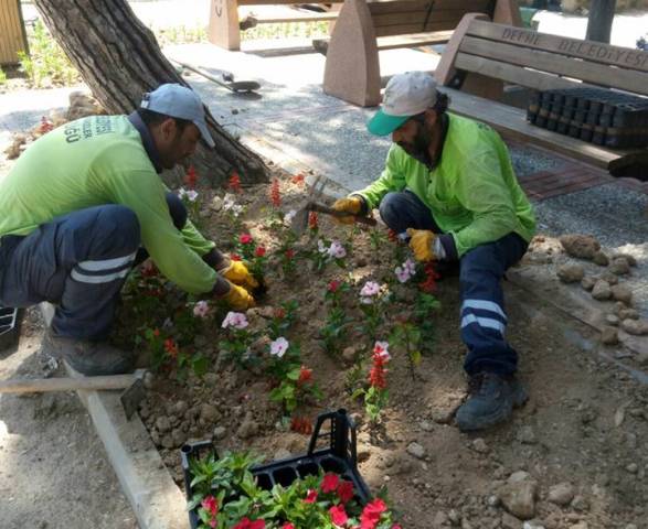 Defne parkları çiçek açıyor