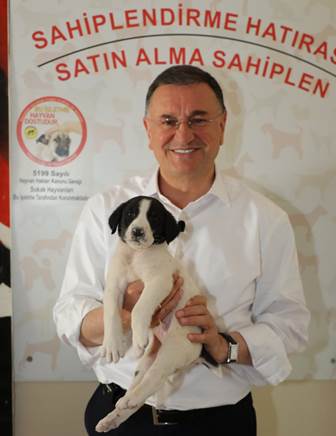 Lütfü Savaş köpekler sıcak yuva ve sahiplerini bekliyor 