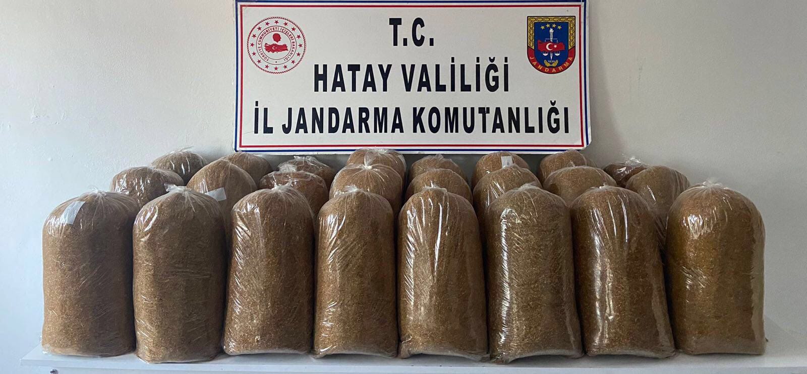 Hatay da 4 kaçakçılık şüphelisi yakalandı