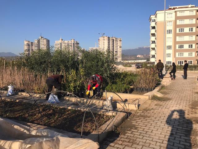 Yemyeşil bir Antakya için üretim yapılıyor