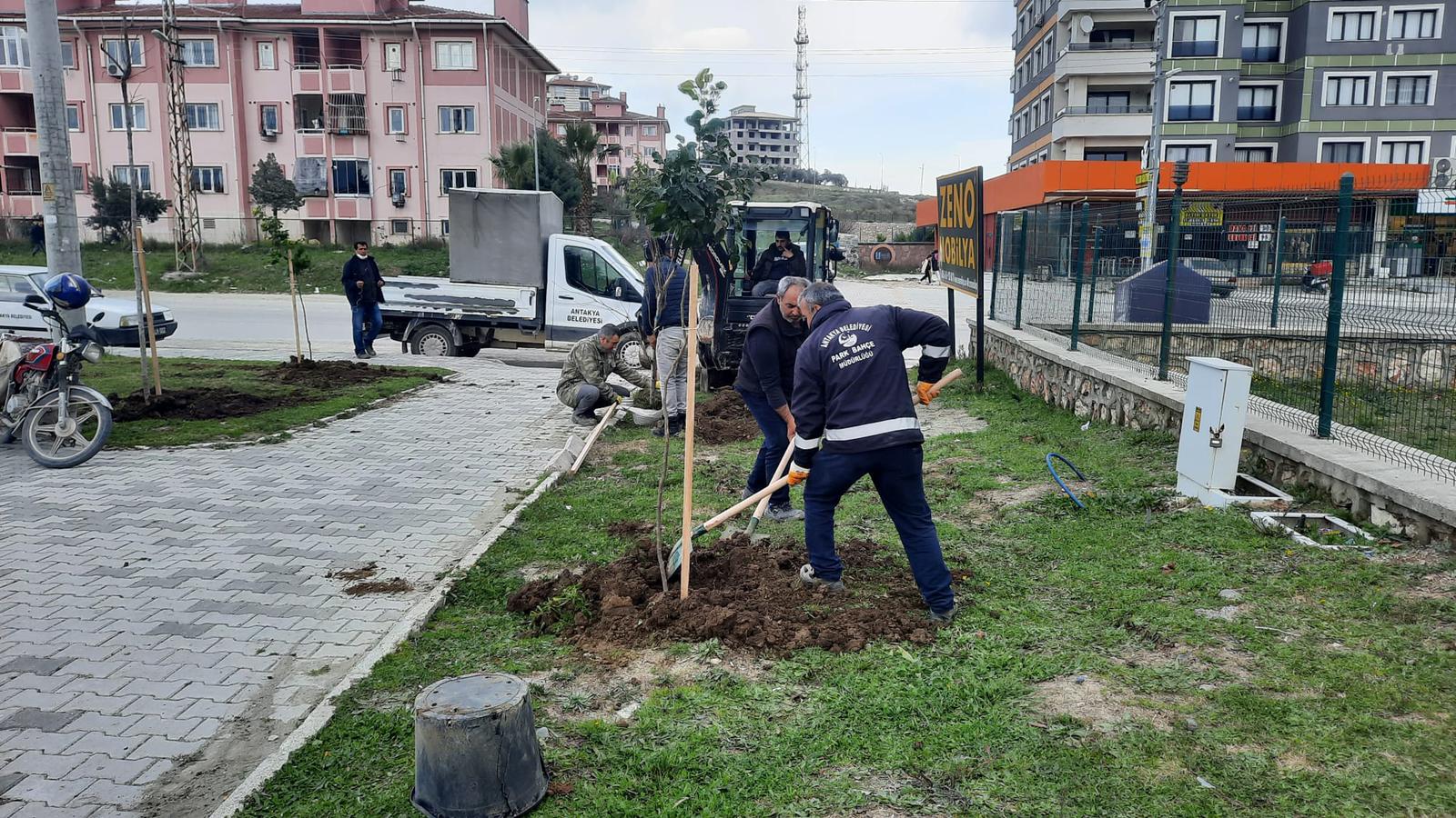 Antakya Belediyesinden ağaçlandırma çalışması