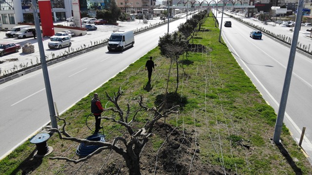 HBB Son bir yılda 340 bin metrekare yeşil alan kazandırıldı