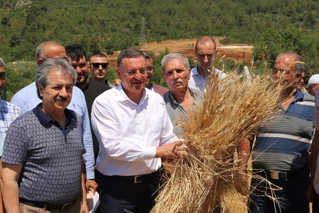 Başkan Savaş buğday tohumu hasadını gerçekleştirdi