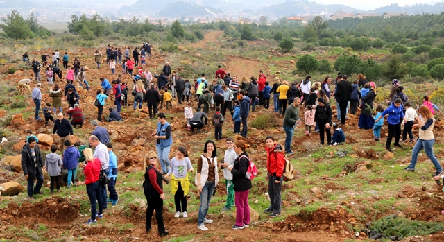 Fidanlar toprakla buluşturuldu