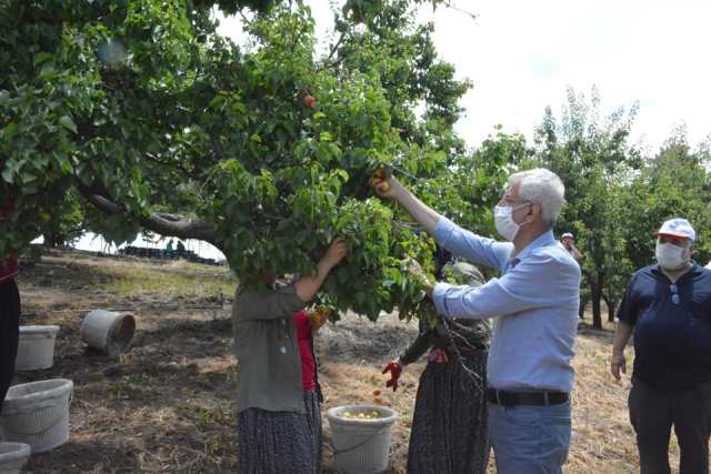 Çiftçi mağdur oldu