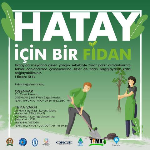 Hatay için bir fidan kampanyası başladı