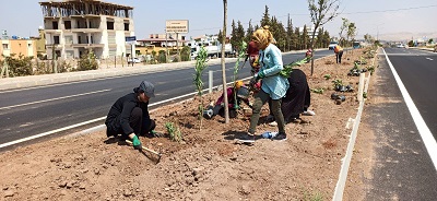 Reyhanlı’da çevre düzenlemesi