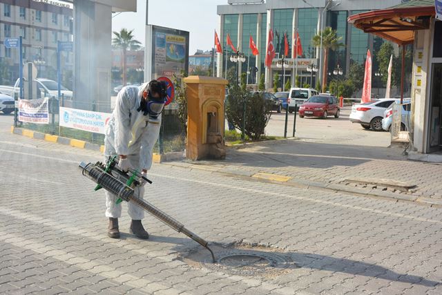 Haşere ile 12 ay boyunca mücadele ediliyor