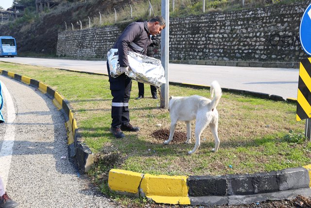 Vali Reyhanlıda halkla buluştu sorunları dinledi