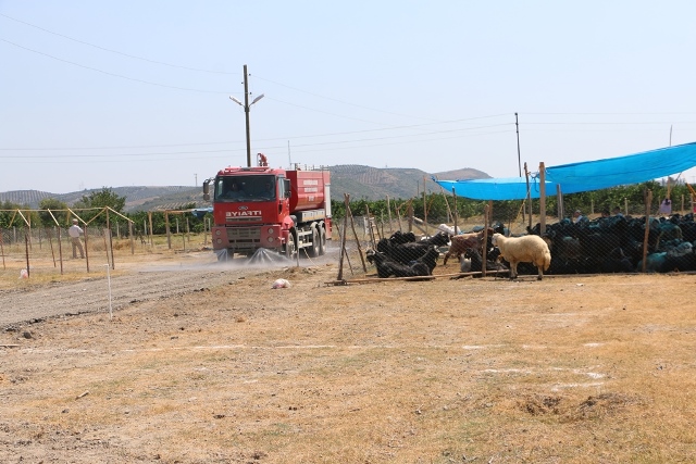 Kurbanlık satış bölgeleri oluşturuldu