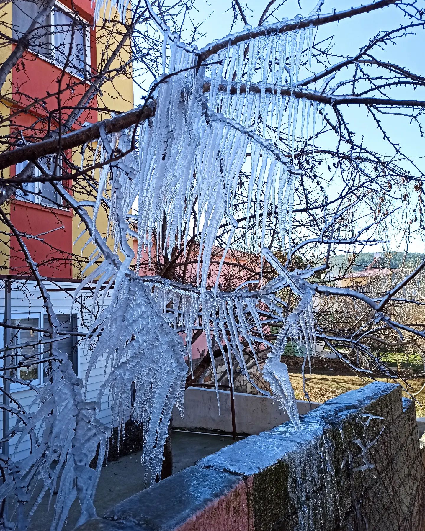 Meteorolojiden zirai don uyarısı