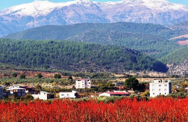 Amanoslara mevsimin ilk karı düştü