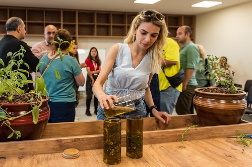 Kantaron yağı hazırlama atölyesi EXPO da gerçekleşti