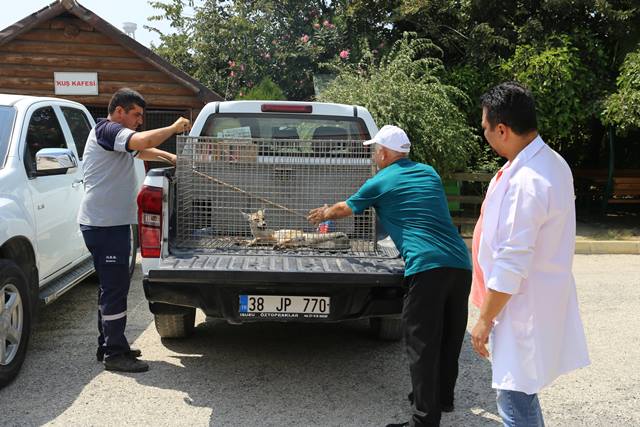 Davetsiz misafir geldiği yere bırakılacak