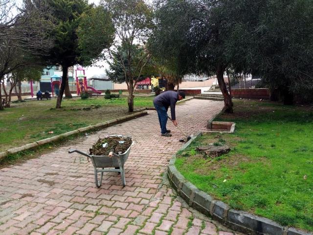 Park ve yeşil alanlarda bakım ve budama yapılıyor