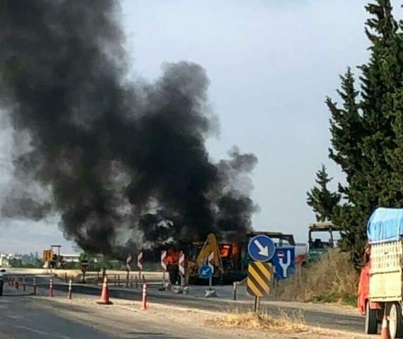 HBB den sahipsiz hayvanlara sıcak yuva