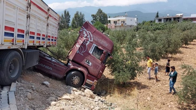 Tır zeytin bahçesine girdi