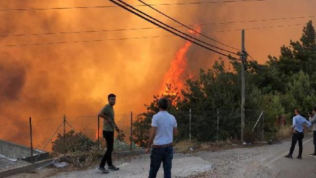 Hatay da ormanları yakan terörist etkisiz hale getirildi