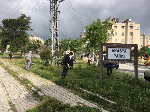 Parklarda çim biçme ve bakım çalışmaları