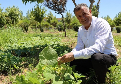 Reyhanlı Belediyesi kent ormanı meyve verdi