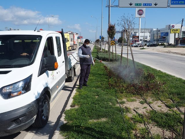 Mevsimlik bitki ve çiçeklerin sağlığı için önlem alındı