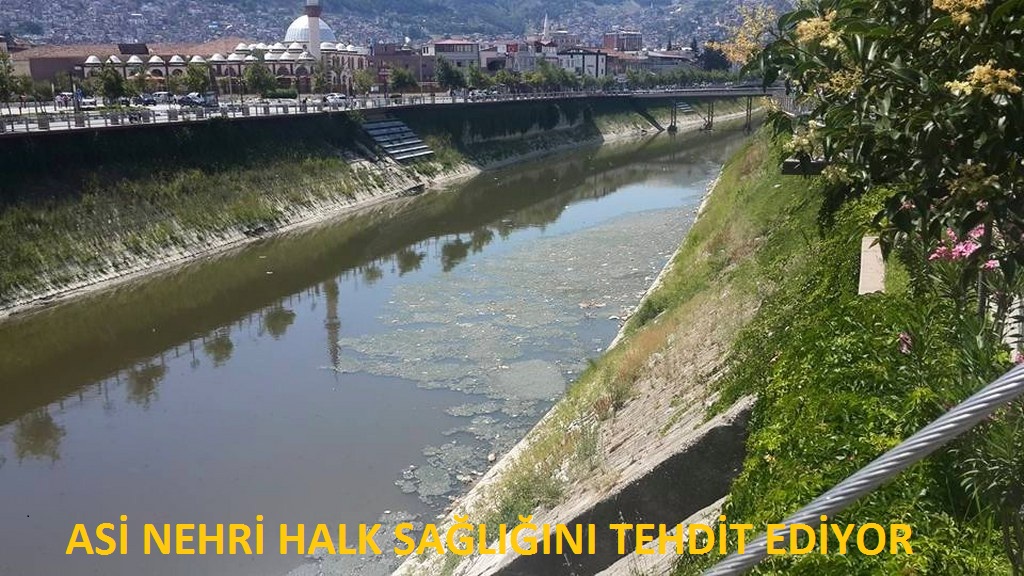 Asi nehri halk sağlığını tehdit ediyor